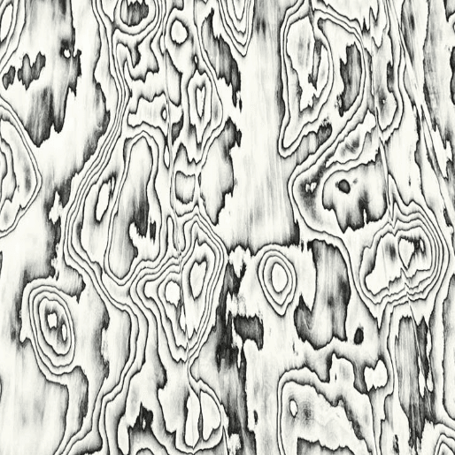 Specialty Veneers TV-3388