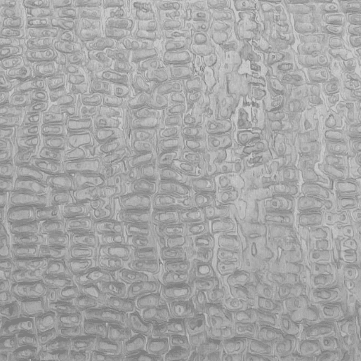 Specialty Veneers TV-3452