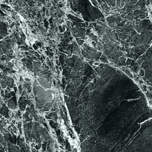 Verde Alpi Marble