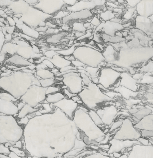 Arabescato Corchia Marble
