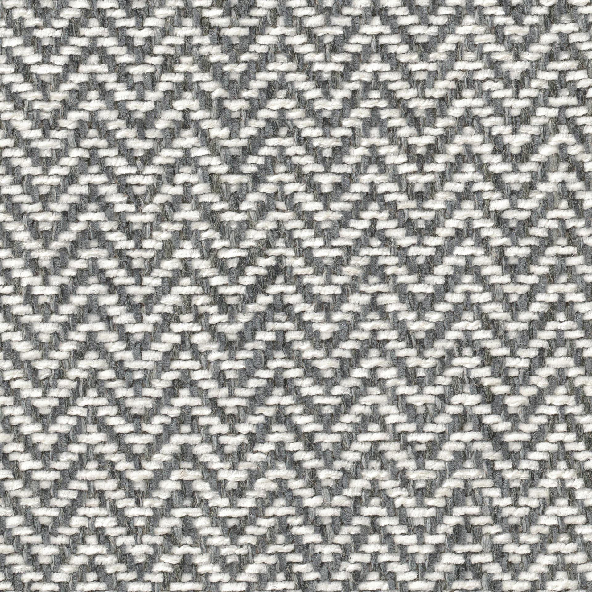 Komodo-2